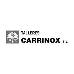Logo Carrinox